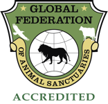 Global federation accreditation symbol